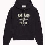 sweat a capuche ami