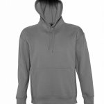 sweat capuche gris