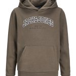 sweat capuche jack and jones