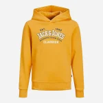 sweat capuche jack and jones