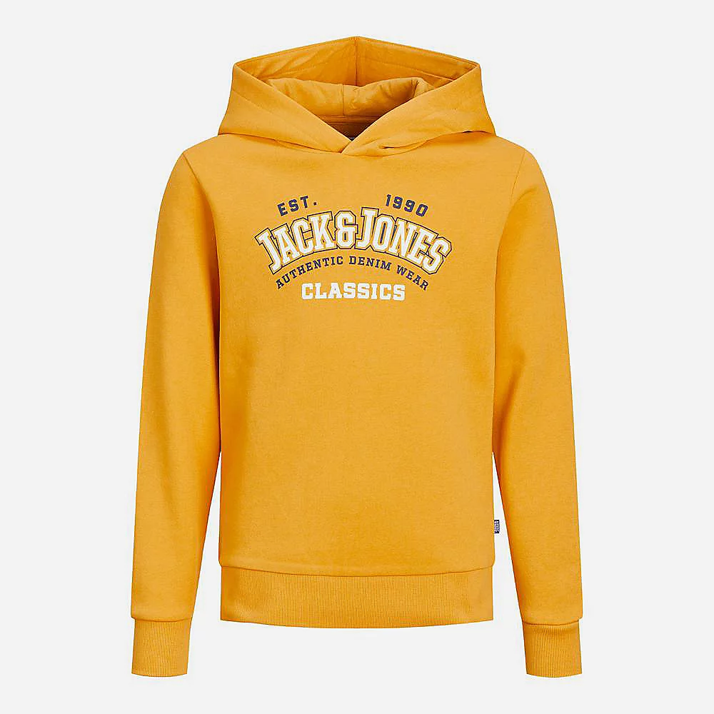 sweat-capuche-jack-and-jones-933qeo.webp sweat capuche jack and jones – Image 1