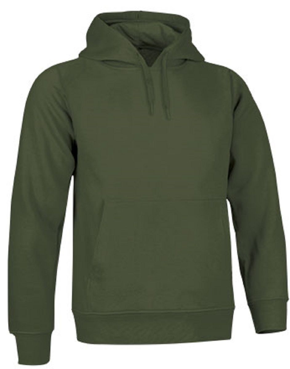 sweat-capuche-vert-388wes-1.jpg sweat capuche vert – Image 1