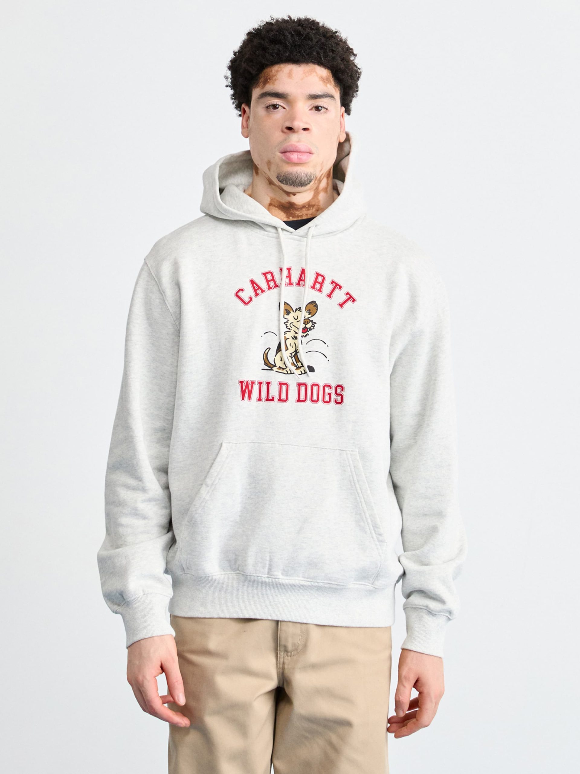 sweat-carhartt-gris-206tac-1.jpg sweat carhartt gris – Image 1